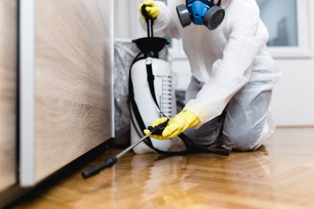 Best Cockroach Control Services  in Oakley, CA