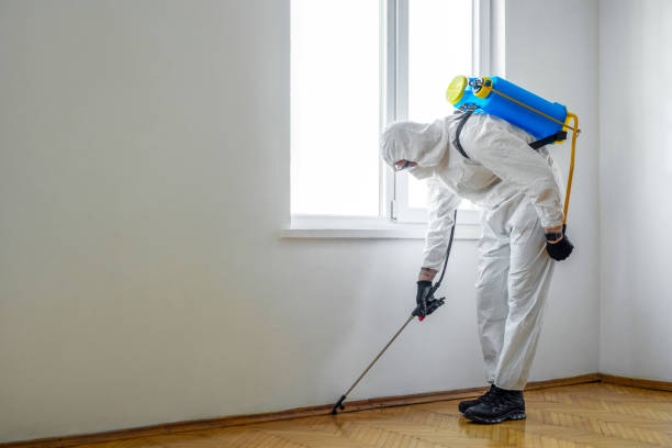 Best Pest Inspection Near Me  in Oakley, CA