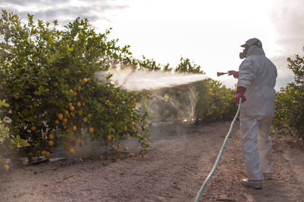 Insect Control in Oakley, CA