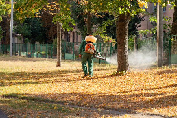 Reliable Oakley, CA Pest Control Solutions