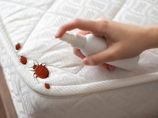 Best Emergency Pest Control  in Oakley, CA