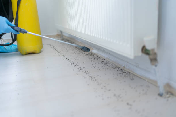 Best Pest Control Near Me  in Oakley, CA