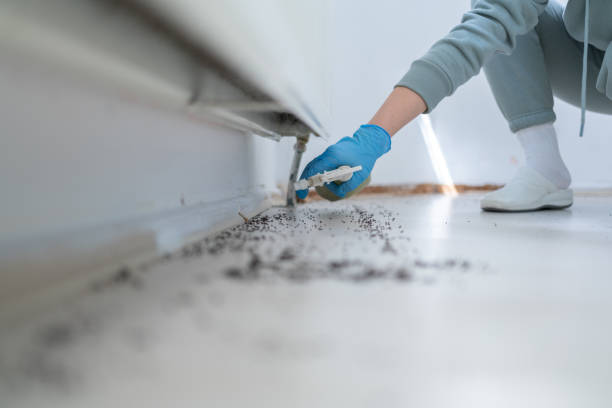 Best Best Pest Control Companies  in Oakley, CA